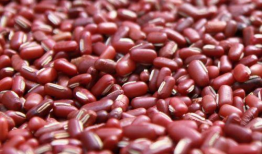 天麻豆的正确吃法与功效,食用指南与神奇功效揭秘